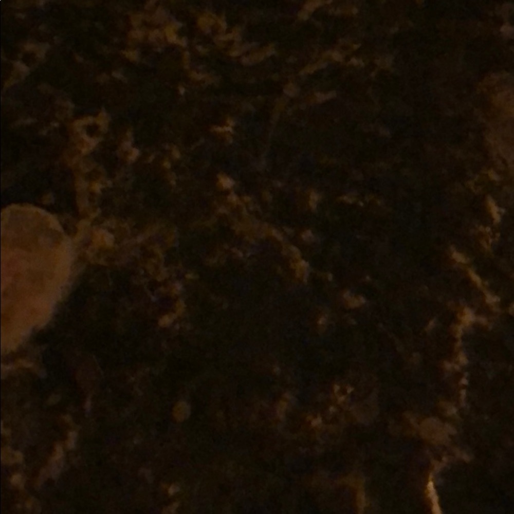 Meet your Posher, Evan